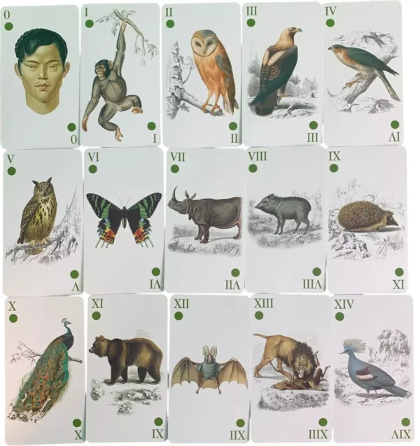 Reincarnation Tarot - Tarocchi della Reincarnazione - Lo Scarabeo